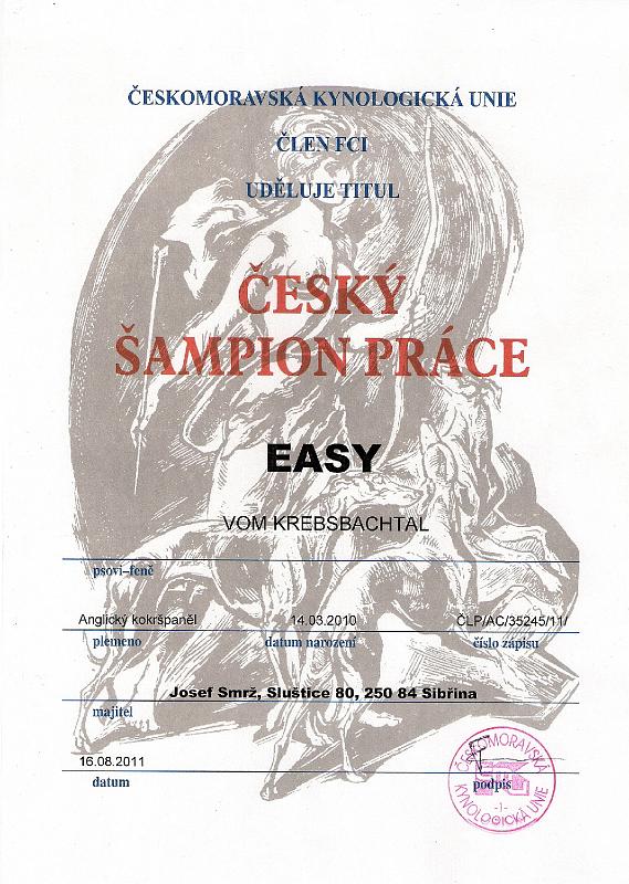 10 - Easy diplom sampion prace.jpg